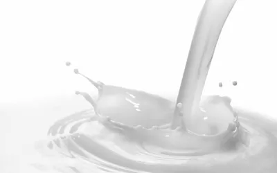 ಹಾಲು ಎಣ್ಣೆಯುಕ್ತ ಚರ್ಮ ಮೃದುವಾಗಿಸುತ್ತದೆ - Milk Softens The Oily Skin Soon