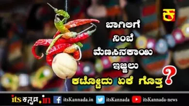 ಬಾಗಿಲಿಗೆ ನಿಂಬೆ ಮೆಣಸಿನಕಾಯಿ ಇಜ್ಜಲು ಕಟ್ಟೋದು ಏಕೆ ಗೊತ್ತ ?-its Kannada