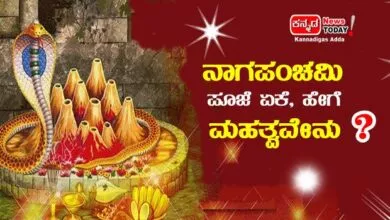 Why, How and what is the significance of Nag Panchami worship-nag panchami