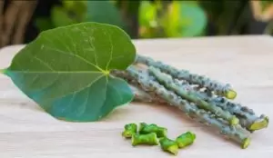Health Benefits of Giloy