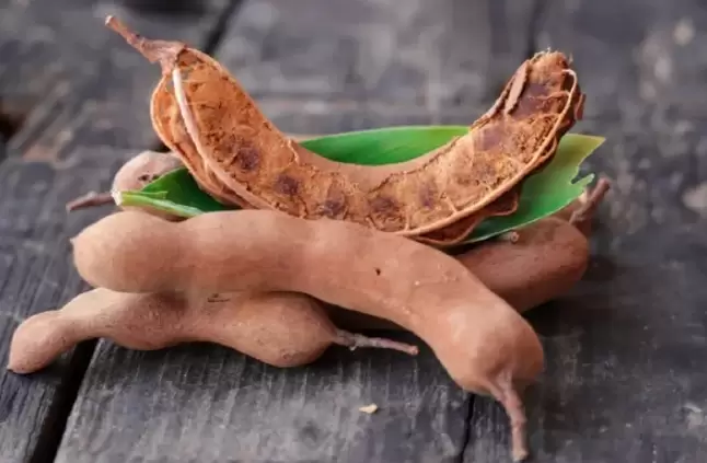 Tamarind Health Benefits in Kannada