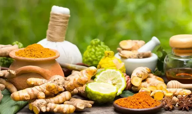 Health Tips 5 ಸೂಪರ್ ಆರೋಗ್ಯಕರ ಗಿಡಮೂಲಿಕೆಗಳು, ಆರೋಗ್ಯವಾಗಿರಲು ಪ್ರತಿದಿನ ಸೇವಿಸಿ