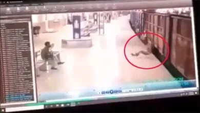 Viral Video, ಮೂರ್ಛೆ ತಪ್ಪಿ ಗೂಡ್ಸ್ ರೈಲಿನಡಿಗೆ ಬಿದ್ದ ರೈಲ್ವೇ ಕಾನ್ಸ್ಟೆಬಲ್ ಸಾವು