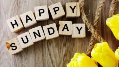 why Sunday is a public holiday