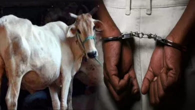 ಹಸುವನ್ನು ಬಿಡದ ಕಾಮುಕ, ಬೆಂಗಳೂರಿನ ಹೂಡಿಯಲ್ಲಿ ಘಟನೆ - Kannada News