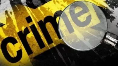 engineer-son-committed-suicide-after-killing-his-mother
