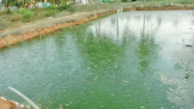 ಕೃಷಿ ಹೊಂಡದಲ್ಲಿ ಮುಳುಗಿ ಇಬ್ಬರು ಬಾಲಕರು ಸಾವು - Kannada News