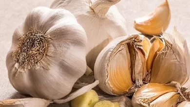 Garlic in Rainy Season, ಮಳೆಗಾಲದಲ್ಲಿ ರೋಗಗಳ ವಿರುದ್ಧ ರಕ್ಷಣೆಗಾಗಿ ಬೆಳ್ಳುಳ್ಳಿ! Health Tips