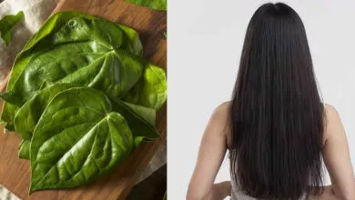 Hair Care Tips: ಕೂದಲಿಗೆ ನೈಸರ್ಗಿಕ ಸೌಂದರ್ಯ ತರಲು ವೀಳ್ಯದೆಲೆ
