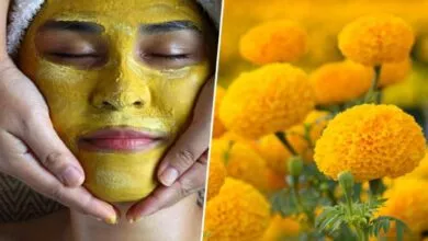 Marigold Flower, ತ್ವಚೆಯ ಸಮಸ್ಯೆಗೆ ರಾಮಬಾಣ ಚೆಂಡು ಹೂ - Health Tips