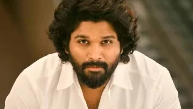ಅಲ್ಲು ಅರ್ಜುನ್ ಗೆ ಹಾಲಿವುಡ್ ಆಫರ್, ಅಸಲಿ ವಿಷಯ ಇಲ್ಲಿದೆ ನೋಡಿ