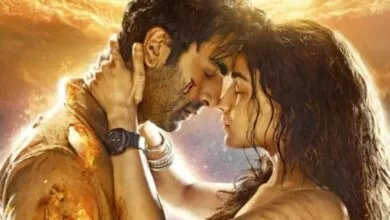 Brahmastra Theatres Number Will Gives You Shock