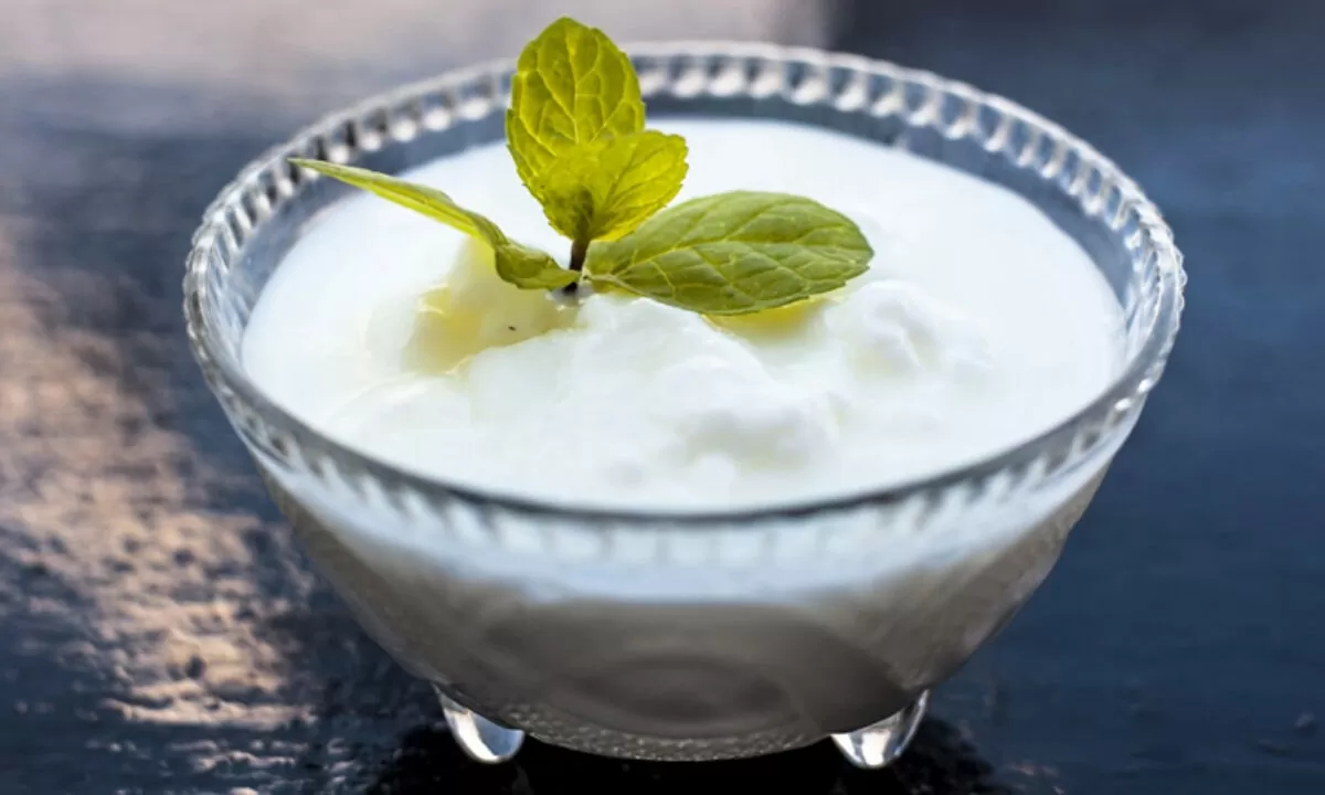Eating curd reduces weight fast