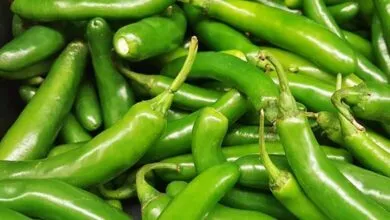 Green Chilli Health Benefits