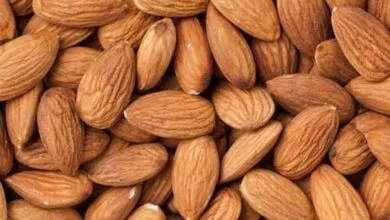 Almonds protect against viruses and bacteria in winter