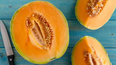 Amazing Health Benefits of Kharbuja
