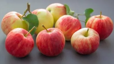 Apple Health Benefits and Side Effects