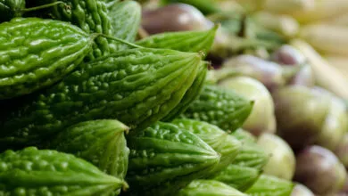 Bitter gourd keeps diabetes under control