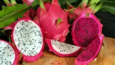 Dragon fruit is good for the heart by keeping cholesterol under control
