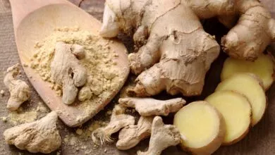 Ginger powder improves digestive power