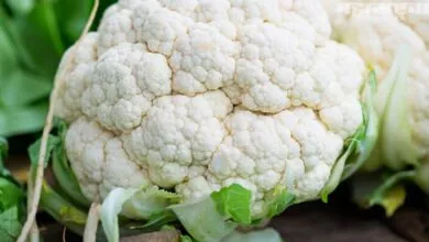 Health Benefits of Cauliflower