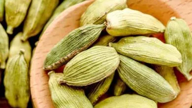 Health Benefits of Green Cardamom