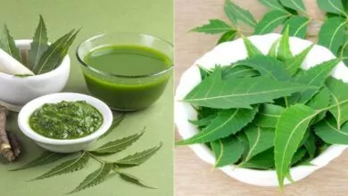 Know the Multiple Health Benefits of Neem