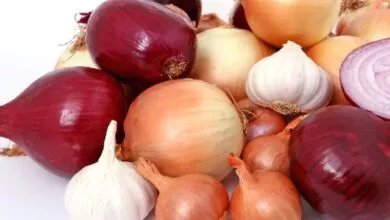 Onions helpful to reducing bad cholesterol in the body