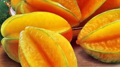 Star Fruit Health Benefits
