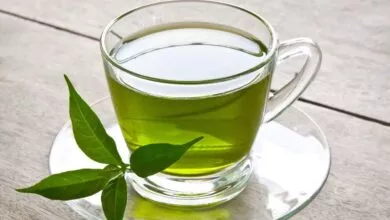 Drinking green tea during pregnancy