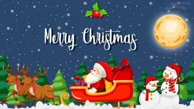 Read interesting things related to Christmas here