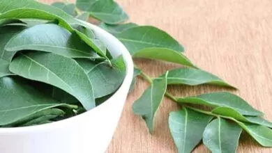 Curry Leaves Health Tips to Reduce Anemia And Reduce Fat Levels In The Body