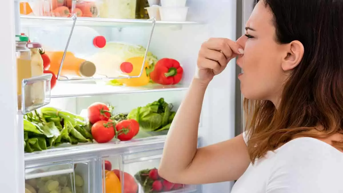 Do not place these food items in Fridge at any conditions, its Creates Health Issues