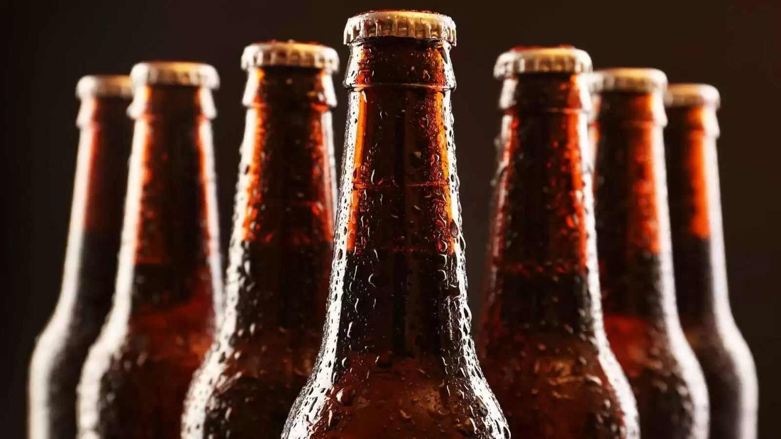 Profit on one bottle of beer Sale