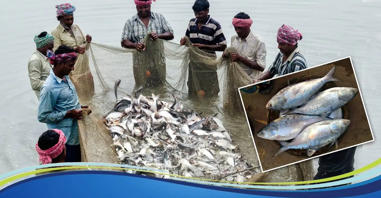 2 lakh income per month If You do this type of fish farming