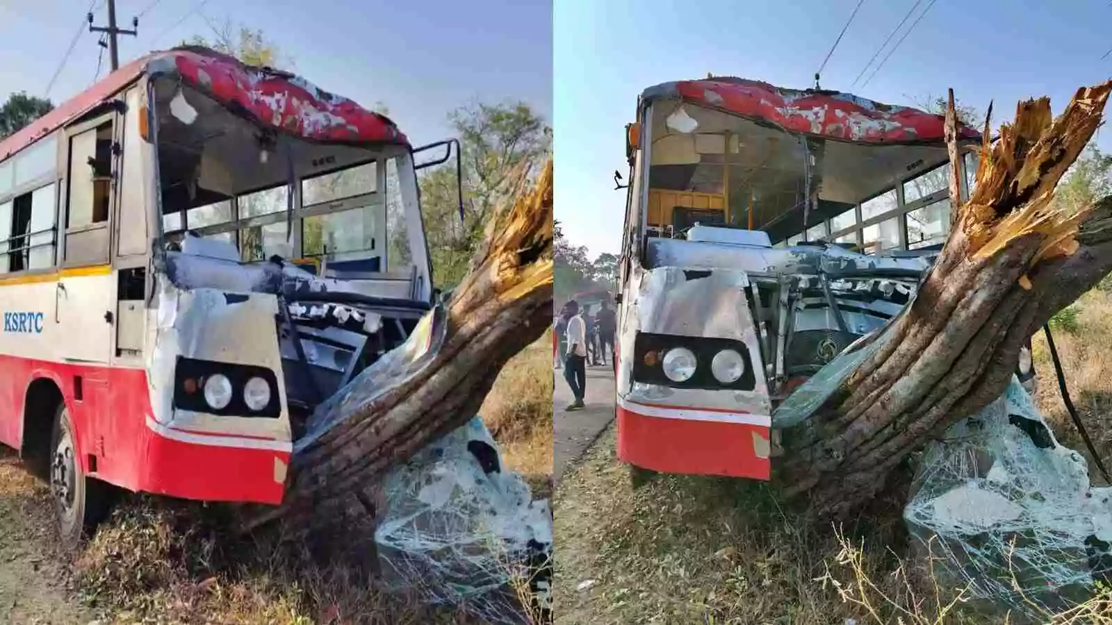 ಚಾಲಕನಿಗೆ ಮೂರ್ಛೆ ಬಂದು ನಿಯಂತ್ರಣ ತಪ್ಪಿದ ಬಸ್ ಮರಕ್ಕೆ ಡಿಕ್ಕಿ!