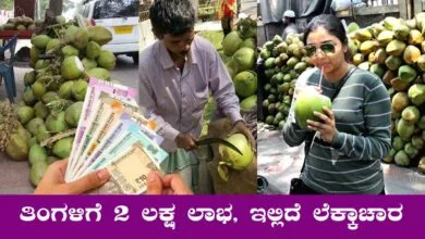 ಕಡಿಮೆ ಬಂಡವಾಳ ಹೈ ಪ್ರಾಫಿಟ್! ಎಳನೀರು ವ್ಯಾಪಾರದ ಲೆಕ್ಕಾಚಾರ ಗೊತ್ತಾ?