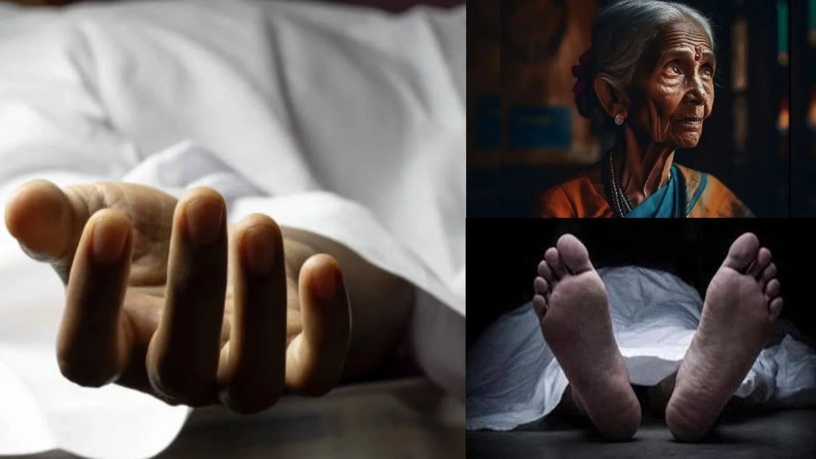 ಕುಟುಂಬದ ಮೂರು ಮಂದಿ ಸಾವು, 3 ದಿನಗಳ ಕಾಲ ಶವಗಳೊಂದಿಗೆ ವೃದ್ಧೆ ವಾಸ!