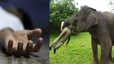ಮೈಸೂರು ಜಿಲ್ಲೆಯಲ್ಲಿ ಆನೆ ದಾಳಿಗೆ 21 ವರ್ಷದ ಯುವಕ ಬಲಿ