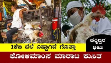 ಹಕ್ಕಿಜ್ವರ ಭೀತಿ, ಕೋಳಿಮಾಂಸ ಮಾರಾಟ ಭಾರೀ ಕುಸಿತ! ಬೆಲೆ ಎಷ್ಟಾಗಿದೆ ಗೊತ್ತಾ