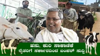 ಹಸು, ಕುರಿ ಸಾಕಾಣಿಕೆ ಮಾಡುವ ರೈತರಿಗೆ ಸರ್ಕಾರದಿಂದ ಬಂಪರ್ ಸಿಹಿ ಸುದ್ದಿ