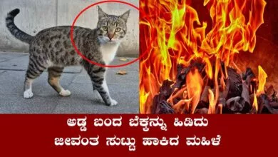 ಅಡ್ಡ ಬಂದ ಬೆಕ್ಕನ್ನು ಹಿಡಿದು ಜೀವಂತ ಸುಟ್ಟು ಹಾಕಿದ ಪಾಪಿ ಮಹಿಳೆ