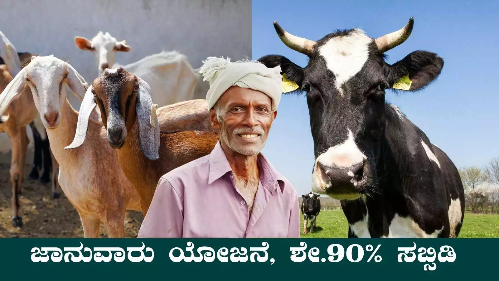 ಹಸು, ಮೇಕೆ ಸಾಕಾಣಿಕೆಗೆ ಜಾನುವಾರು ಯೋಜನೆ, ರೈತರಿಗೆ ಶೇ.90% ಸಹಾಯಧನ