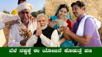 ರೈತರಿಗೆ ಸಿಹಿಸುದ್ದಿ! ಬೆಳೆ ನಷ್ಟವಾದರೂ ಹೆದರಬೇಕಿಲ್ಲ, ಈ ಸ್ಕೀಮ್ ಕೊಡುತ್ತೆ ಹಣ