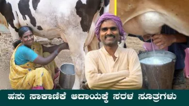ಹಸು ಸಾಕಾಣಿಕೆಯಲ್ಲಿ ಒನ್ ಟು ಡಬಲ್ ಆದಾಯಕ್ಕೆ ಇಲ್ಲಿದೆ ಸರಳ ಸೂತ್ರಗಳು!