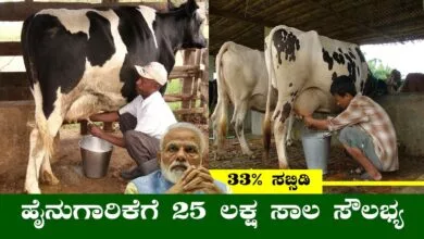 ಹೈನುಗಾರಿಕೆಗೆ ₹25 ಲಕ್ಷದವರೆಗೆ ಸಾಲ ಸೌಲಭ್ಯ! 33% ವರೆಗೆ ಸಬ್ಸಿಡಿ ಸಹ ಲಭ್ಯ