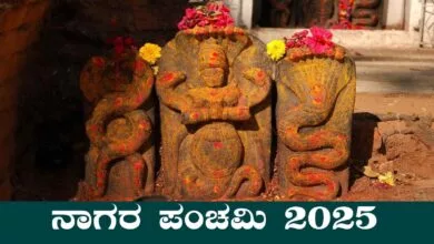 ನಾಗರ ಪಂಚಮಿ ದಿನ ಏನು ಮಾಡಬೇಕು? ಏನು ಮಾಡಬಾರದು? ನಾಗ ಪಂಚಮಿ ವಿಶೇಷ