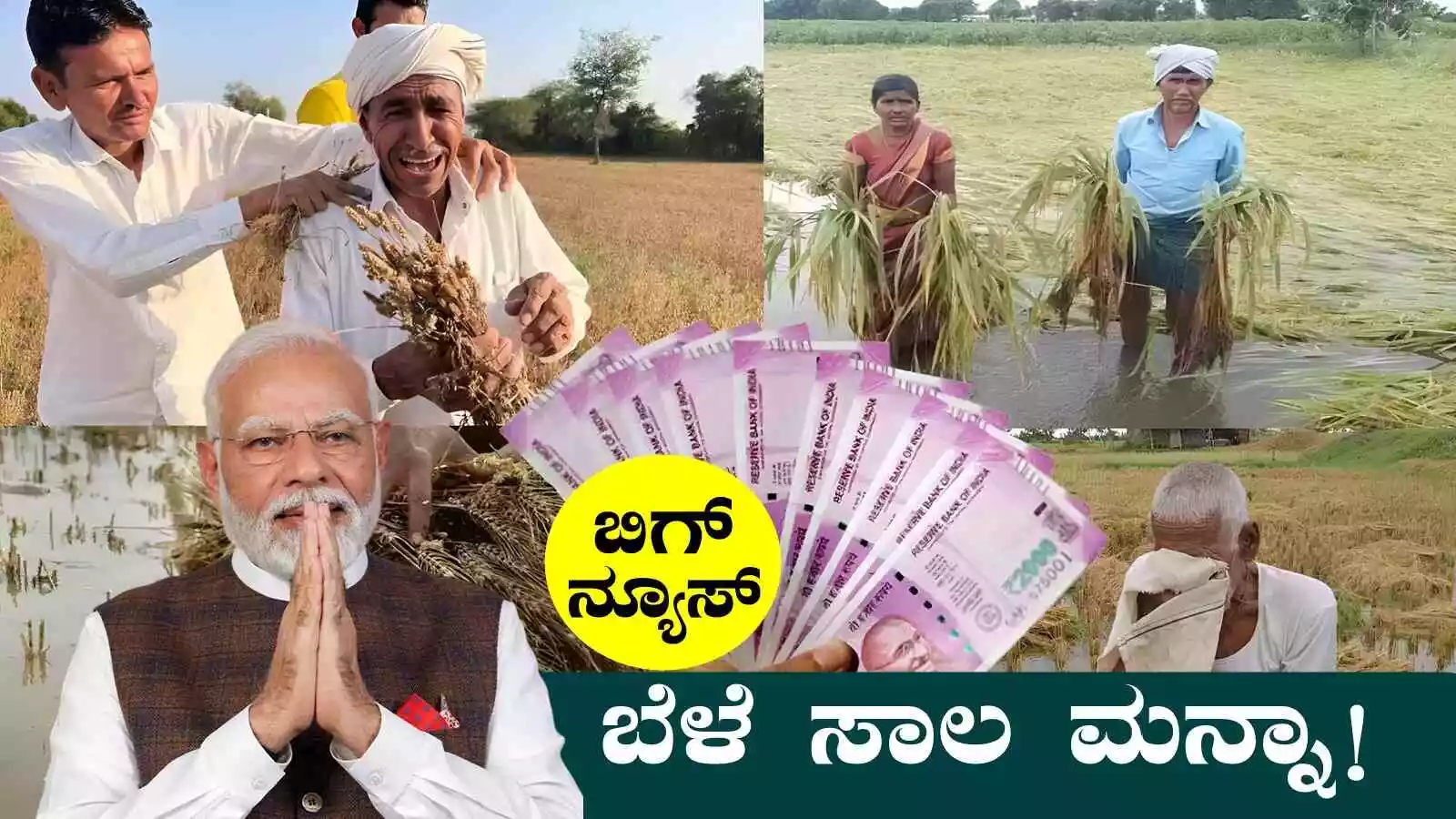 ರೈತರಿಗೆ ಬಿಗ್ ಅಲರ್ಟ್, ಬೆಳೆ ಸಾಲ ಮನ್ನಾ! ಸರ್ಕಾರದಿಂದ ಪ್ರಮುಖ ಘೋಷಣೆ