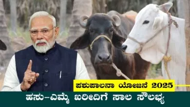 ಹಸು-ಎಮ್ಮೆ ಖರೀದಿಗೆ ಸಾಲ ಸೌಲಭ್ಯ, ಪಶುಪಾಲನಾ ಯೋಜನೆ 2025ಕ್ಕೆ ಅರ್ಜಿ ಸಲ್ಲಿಸಿ
