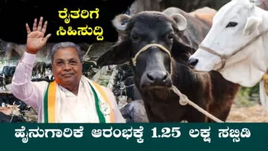 ಹಸು ಎಮ್ಮೆ ಸೇರಿದಂತೆ ಹೈನುಗಾರಿಕೆ ಆರಂಭಕ್ಕೆ ₹1.25 ಲಕ್ಷ ಸಬ್ಸಿಡಿ, ಅರ್ಜಿ ಆಹ್ವಾನ